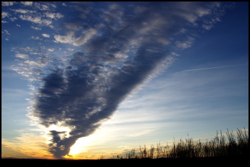 2011-11-28 / olilignan
Par olilignan dans [Ciel / Nuages]
