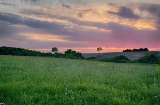2018-07-16 / CarpoDingo
CarpoDingo dans Paysages et elements naturels
