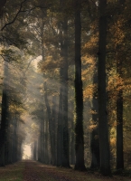 Nom du fichier=22957254541_3544849a93_o.jpg
Taille du fichier=313Ko
Dimensions : 728x1000
Ajouté le : 11 Novembre 2015 22957254541_3544849a93_o.jpg