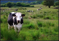 Nom du fichier=imgp19221.jpg
Taille du fichier=323Ko
Dimensions : 1024x720
Ajouté le : 29 Mai 2011 imgp19221.jpg