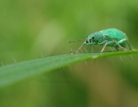 Nom du fichier=imgp9043f.jpg
Taille du fichier=291Ko
Dimensions : 988x768
Ajouté le : 17 Avril 2011 imgp9043f.jpg