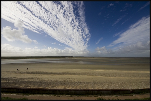 2011-09-30/ guepard
Par: guepard-[serie baie de somme]
