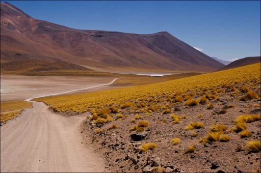 2011-03-29/ pelelo
Par pelelo- [serie Ambiance Chili, hauts plateaux et volcans]
