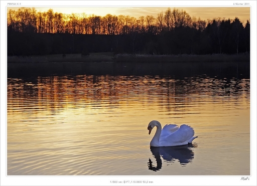 2011-02-08/ Mapi 
Par: Mapi [reflets et ombres]
