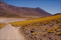 Nom du fichier=IMGP0898.jpg
Taille du fichier=261Ko
Dimensions : 902x600
Ajouté le : 28 Mars 2011 IMGP0898.jpg