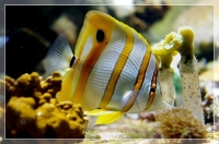 Nom du fichier=imgp1028.jpg
Taille du fichier=135Ko
Dimensions : 640x425
Ajouté le : 17 Août 2010 imgp1028.jpg