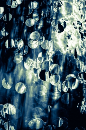 2015-06-30/olilignan
olilignan [ Macro et proxi-photo ]
