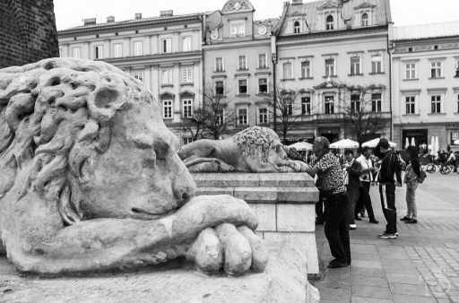 2016-04-28/Sijam
Sijam   [Environnement urbain et constructions humaines]
