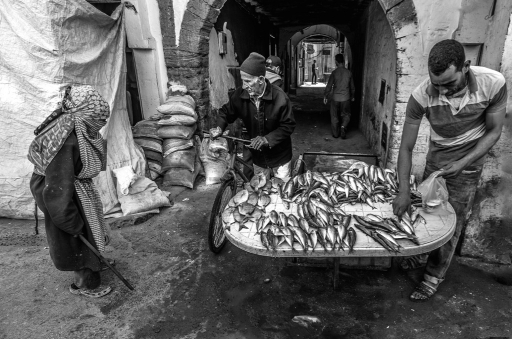 2016-05-02/olilignan
olilignan   [Environnement urbain et constructions humaines]
