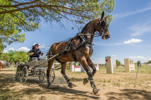 2016-06-12/Ludovic
Ludovic  [Vos series] L'agglo en fete - Nimes
