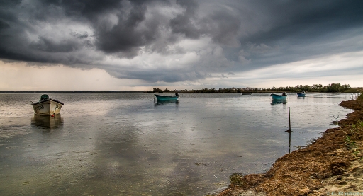 2016-09-27/phoenix1366
phoenix1366    [Paysages et elements naturels]
