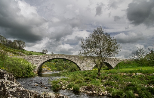 2015-07-09/step55
step55  [ Paysages ]
