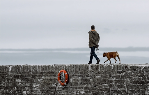 2015-09-15/Kobaia
Kobaia [Portraits]
