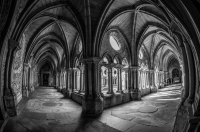 Nom du fichier=15103007513413410713706884.jpg
Taille du fichier=333Ko
Dimensions : 1024x678
Ajouté le : 31 Octobre 2015 15103007513413410713706884.jpg