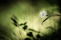 Nom du fichier=16030707355313410714036249.jpg
Taille du fichier=349Ko
Dimensions : 1024x678
Ajouté le : 08 Mars 2016 16030707355313410714036249.jpg