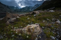 Nom du fichier=160815124320478061.jpg
Taille du fichier=298Ko
Dimensions : 1020x678
Ajouté le : 16 Août 2016 160815124320478061.jpg