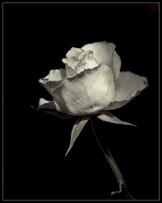 2010-02-24 / perreg
par perreg - [photographies HDR et DRI]
