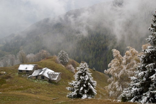 2010-12-26  /  pierrot73210
Par:  pierrot73210 - [ serie: Aux sources de l'Arbonne ] -
