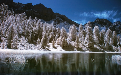 2011-08-20  /  dimvig
Par: dimvig  -[ Infra-rouge ] -
