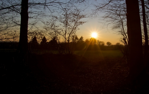 Février 2012  -  neosilencers
Fevrier 2012 - neosilencers
