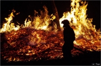 Nom du fichier=1106250819411255848381435.jpg
Taille du fichier=229Ko
Dimensions : 1002x665
Ajouté le : 25 Juin 2011 1106250819411255848381435.jpg