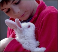 Nom du fichier=24032012imgp9912.jpg
Taille du fichier=269Ko
Dimensions : 1024x915
Ajouté le : 24 Mars 2012 24032012imgp9912.jpg