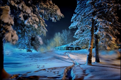 2009-12-25 / pixel
Par: pixel -  [ Neige, givre ]
