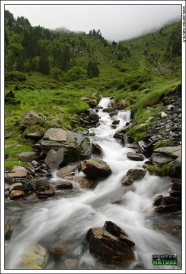 2009-12-29 / Lolomtp34
Par Lolomtp34 - [Plans d'eau / Rivieres]
