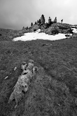 2010-06-02 / Pierrot73210
Par : Pierrot73210 [Series : Traversee du Vercors]
