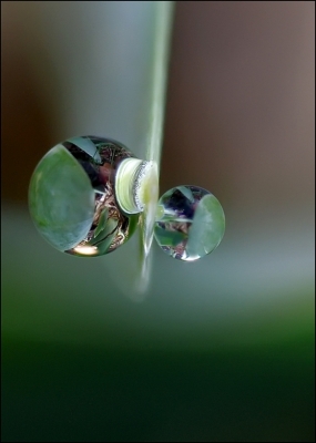 2010-05-12 / Pixel
Par : Pixel - [Serie / Perles du Matin]
