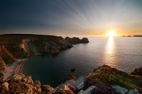 Nom du fichier=100906104606530585.jpg
Taille du fichier=160Ko
Dimensions : 800x532
Ajouté le : 07 Septembre 2010 100906104606530585.jpg