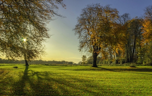 [Octobre 2014] Couleurs et ambiances automnales
step55   "Ambiance" 
