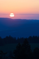 Nom du fichier=imgp9026.jpg
Taille du fichier=124Ko
Dimensions : 531x800
Ajouté le : 30 Août 2010 imgp9026.jpg