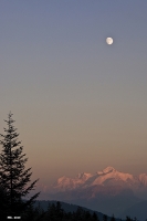 Nom du fichier=mar4005800copie.jpg
Taille du fichier=156Ko
Dimensions : 534x800
Ajouté le : 22 Août 2010 mar4005800copie.jpg