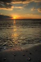 Nom du fichier=101221060029882757347641.jpg
Taille du fichier=270Ko
Dimensions : 537x800
Ajouté le : 22 Décembre 2010 101221060029882757347641.jpg