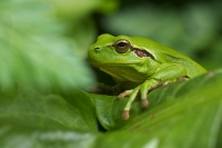 Nom du fichier=1118061867__IGP6956.jpg
Taille du fichier=308Ko
Dimensions : 1024x685
Ajouté le : 21 Avril 2011 1118061867__IGP6956.jpg