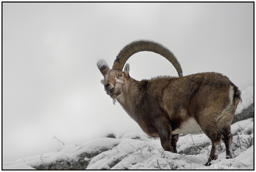 01 Janvier 2012 - Randos74
Janvier 2012 - Randos74
