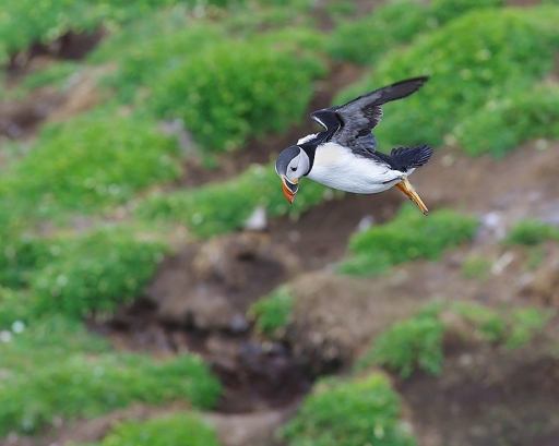 Juin 2012 - dimvig
Juin 2012 - dimvig
