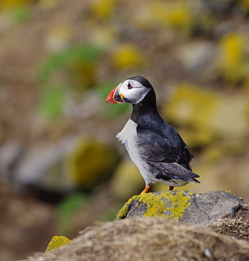 Juin 2012 - dimvig
Juin 2012 - dimvig
