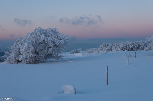 2013-03-17 / ducatst2
ducatst2 [ Neige, givre ]
