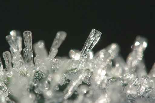 Janvier 2012 - sorcier
Janvier 2012 - sorcier
