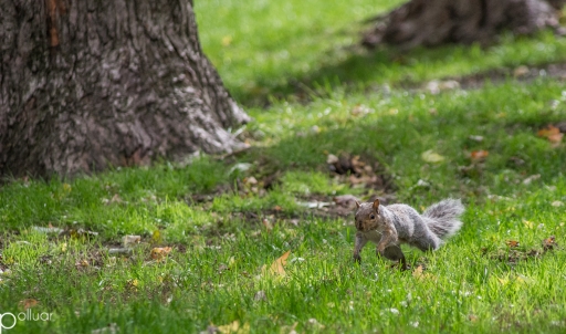 Octobre 2012 - polluar
Octobre 2012 - polluar
