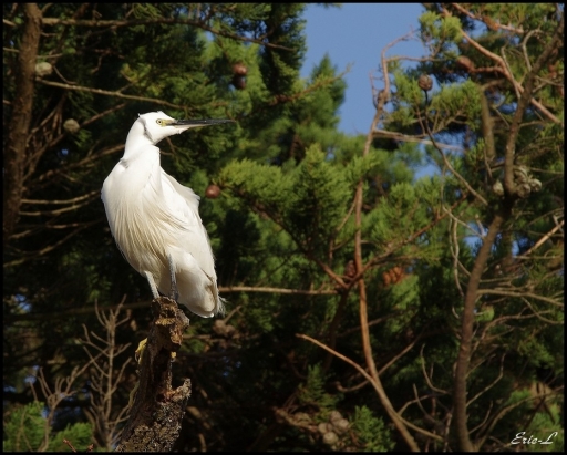 Decembre 2012 -  Eric L
Decembre 2012 -  Eric L
