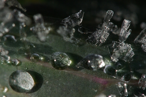 Janvier 2012 - sorcier nÂ°2
Janvier 2012 - sorcier
