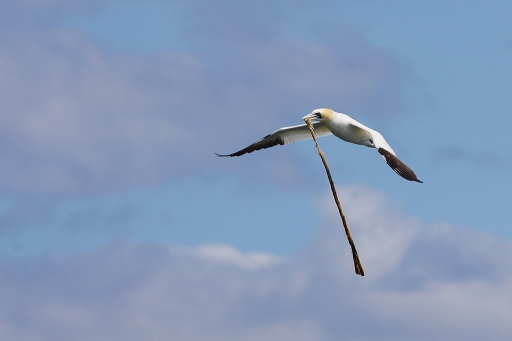 Mai 2012 - dimvig
Mai 2012 - dimvig

