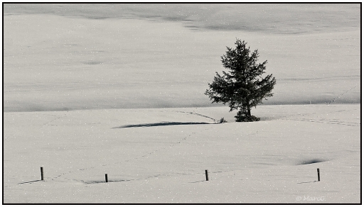 Janvier 2012 - bibi dans Le sentier des espagnols  :-)
Janvier 2012 - bibi
