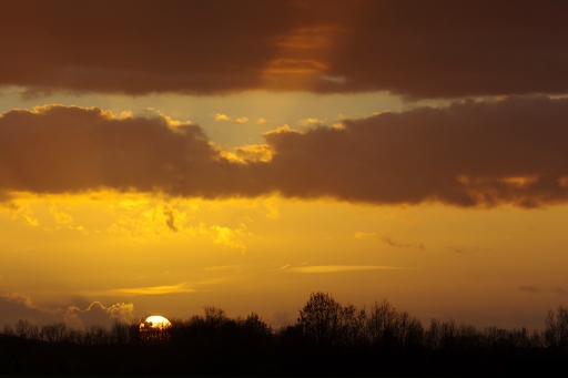 Janvier 2012 - david81 
Janvier 2012 - david81 
