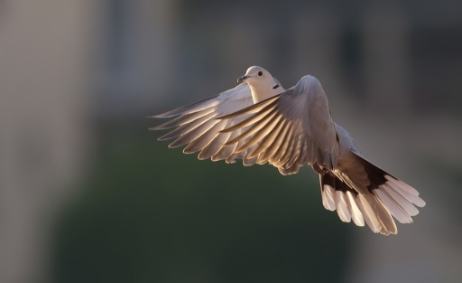 Avril 2012 / dedales
Avril 2012 - dedales
