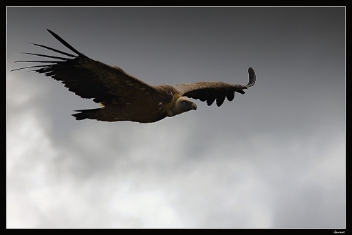 Octobre 2012 - lolo26
Octobre 2012 - lolo26
