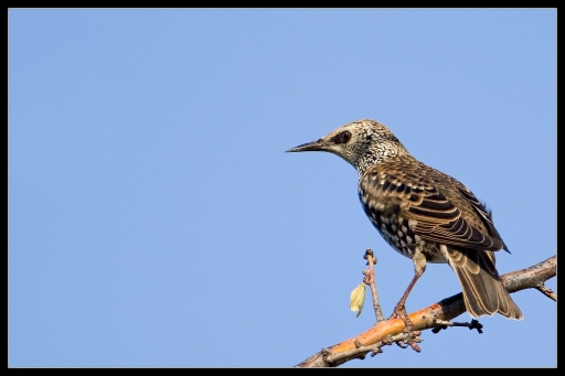 Octobre 2012 - lolo26
Octobre 2012 - lolo26
